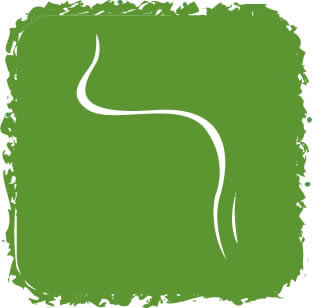 Larynx (Voice box) icon